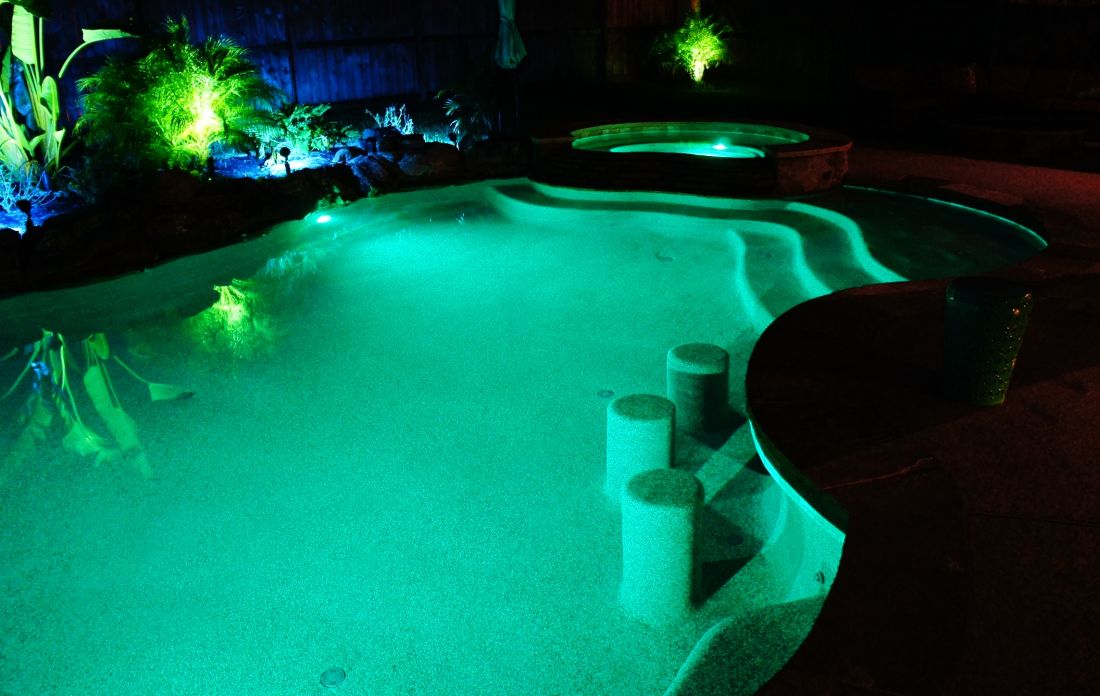 Free Form Pools #049 by The Pool Man Inc